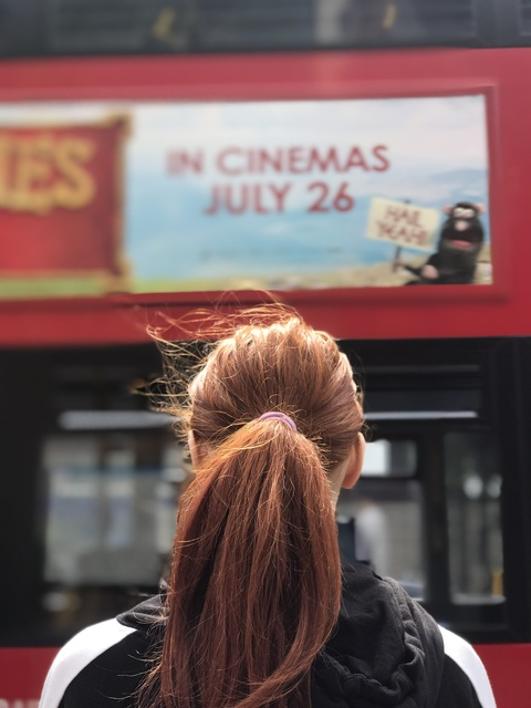 Header of texasginger