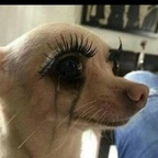 Onlyfans leak th0tsandprayers 

 profile picture