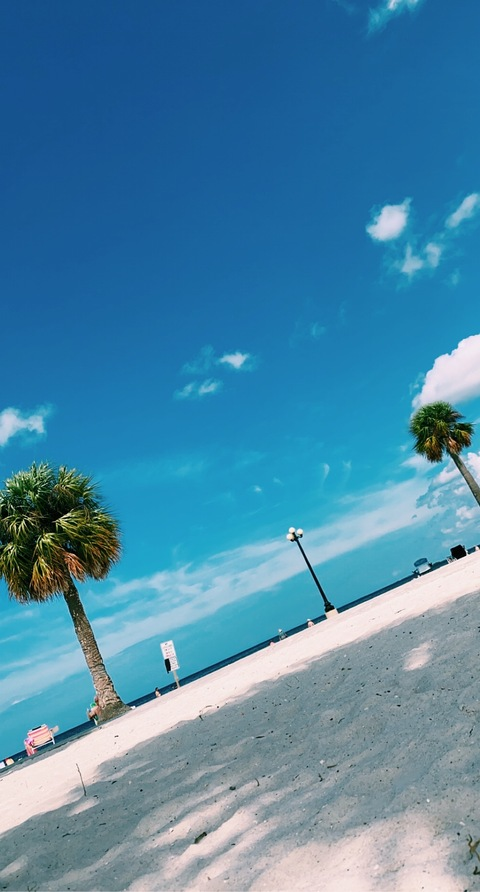 Header of the.official.zoey