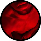 Onlyfans leaks theb00tybandit 

 profile picture