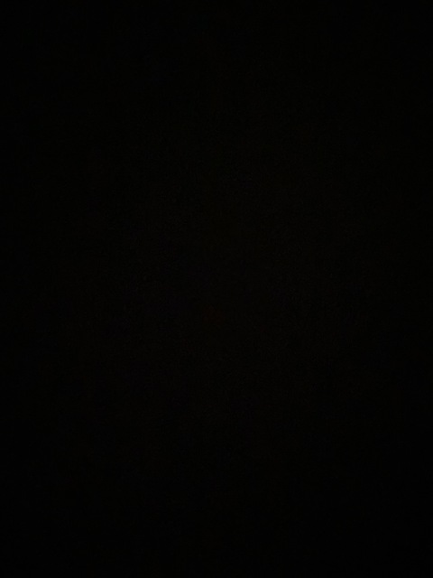 Header of theelliewest