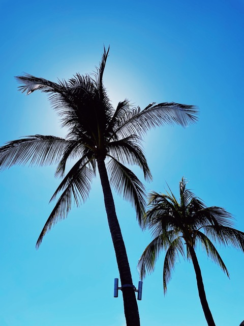 Header of theeveningal