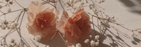 Header of thicckkitten