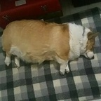 tisua (tsn) free OnlyFans Leaked Pictures and Videos 

 profile picture