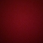 Anon (toosavv) Leaks OnlyFans 

 profile picture