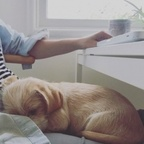 tracyclarkflory OnlyFans Leak 

 profile picture