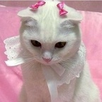 TrashBaby @trash_bby Leak OnlyFans 

 profile picture