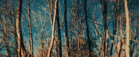 Header of travisfoxx