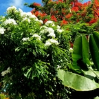 Download tropical_kay OnlyFans content for free 

 profile picture