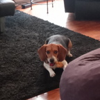 Download trusty_rusty OnlyFans leaks for free 

 profile picture