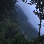 twylerbigd OnlyFans Leaked 

 profile picture