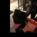 u1230461 (@u1230461) Leak OnlyFans 

 profile picture