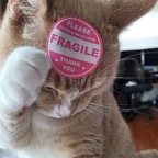 u14842426 OnlyFans Leaked 

 profile picture