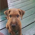 u188436 OnlyFans Leak 

 profile picture