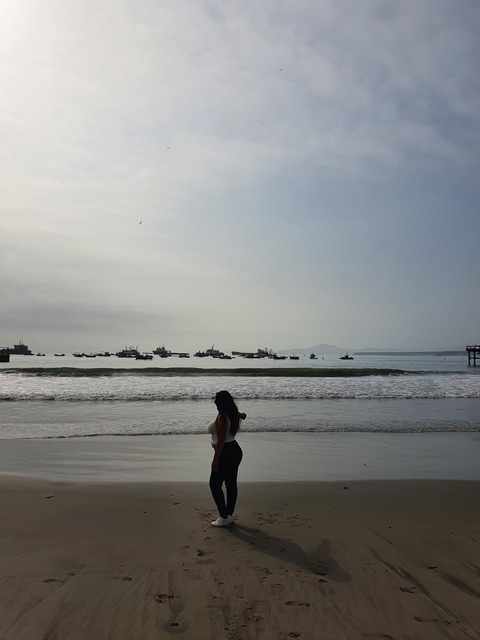 Header of u207738240