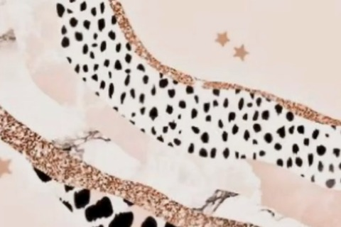 Header of u218973291