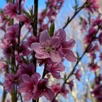 Onlyfans leaked u230348321 

 profile picture