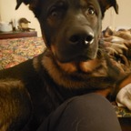 Download u237004799 OnlyFans leaks for free 

 profile picture