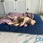 Onlyfans leaked u249321866 

 profile picture