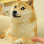 u50599898 OnlyFans Leak 

 profile picture