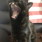 u67181577 (u67181577) OnlyFans Leaked Pictures & Videos 

 profile picture