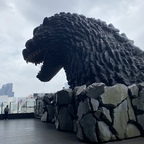 u76679181 (Naido) OnlyFans Leaked Pictures & Videos 

 profile picture