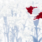 jessie (@u89376429) Leaks OnlyFans 

 profile picture