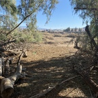 Onlyfans leak u99408316 

 profile picture