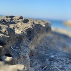 unknown7177 (Unknown🌶) free OnlyFans Leaks 

 profile picture