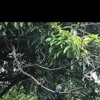 u11086225 vanessas Leak OnlyFans 

 profile picture