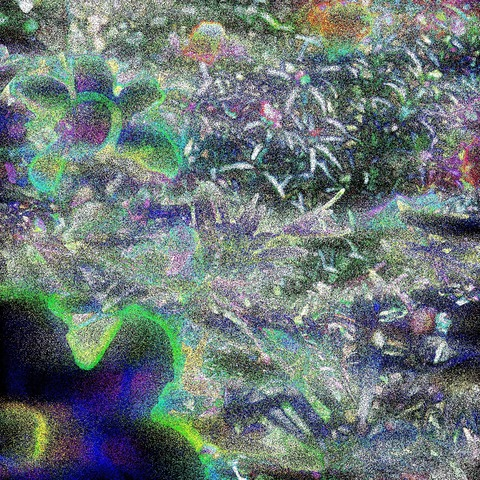 Header of violetst0rm