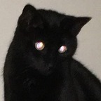 Onlyfans leak voidqueen 

 profile picture