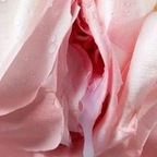 Free access to warrior19rn Leak OnlyFans 

 profile picture