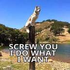 welshlad84 OnlyFans Leak 

 profile picture