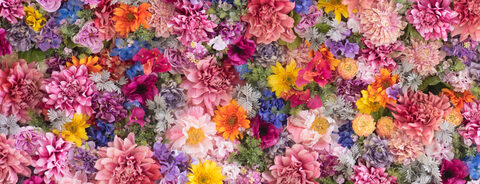 Header of wheatthicccc