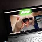 whyrano (YOON) OnlyFans Leaked Videos and Pictures 

 profile picture