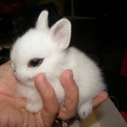 Download wickedmidnight OnlyFans leaks for free 

 profile picture