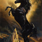 wildstxallion OnlyFans Leaks 

 profile picture