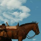 Onlyfans leak windshowling69 

 profile picture