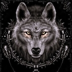 wolfie OnlyFans Leaks 

 profile picture