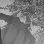 xxxkhloe (Khlóë) free OnlyFans Leaks 

 profile picture