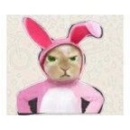 Onlyfans leaked yanela 

 profile picture