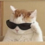 yeonwoo OnlyFans Leak 

 profile picture