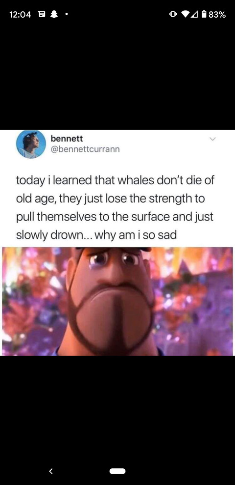 Header of yessir10000