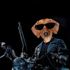 Download yotta_life OnlyFans videos and photos for free 

 profile picture