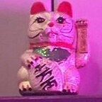 Download youniversall OnlyFans leaks for free 

 profile picture