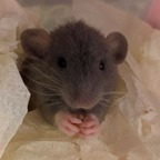 Onlyfans leaked yourmom06 

 profile picture