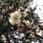 Yukiyuki (yukiyuki) Leaks OnlyFans 

 profile picture