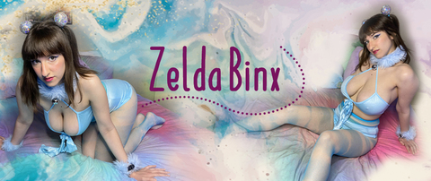 Header of zelda_binx