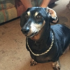 Onlyfans leaks zerdboy2 

 profile picture